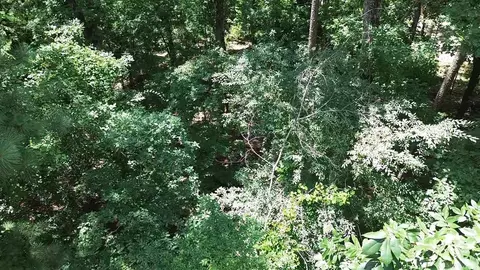 Oakmont Drive, Alexander, AR 72002 photo 6