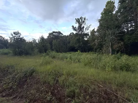 000 Dawson Rd, Benton, AR 72019 photo 4