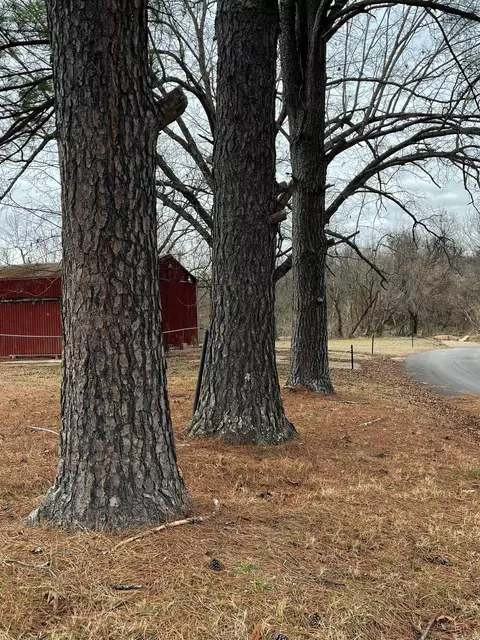 000 County Road 268, Thayer, MO 65791 photo 10