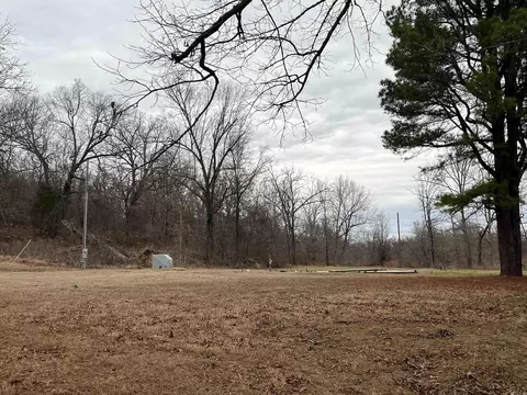 000 County Road 268, Thayer, MO 65791 photo 6