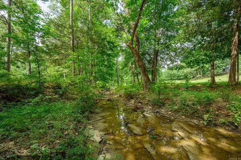 938 Ballpark Rd, Mount Ida, AR 71957 photo 38