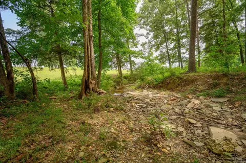 938 Ballpark Rd, Mount Ida, AR 71957 photo 35