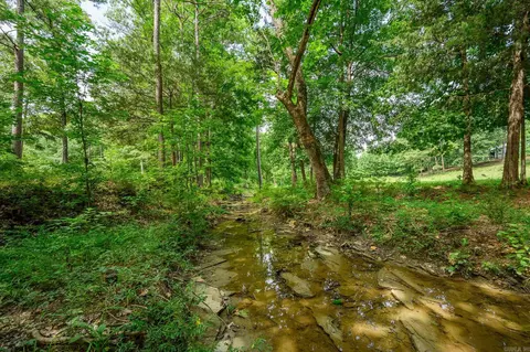 938 Ballpark Rd, Mount Ida, AR 71957 photo 39