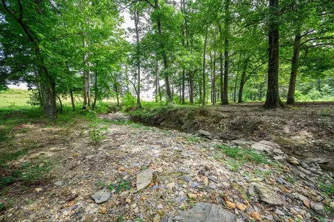 938 Ballpark Rd, Mount Ida, AR 71957 photo 34