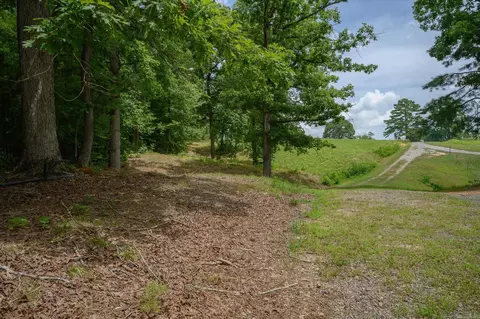 938 Ballpark Rd, Mount Ida, AR 71957 photo 47