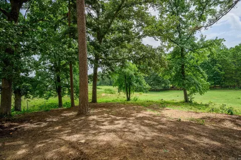 938 Ballpark Rd, Mount Ida, AR 71957 photo 46