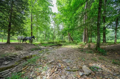 938 Ballpark Rd, Mount Ida, AR 71957 photo 38