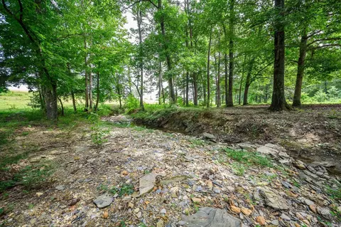 938 Ballpark Rd, Mount Ida, AR 71957 photo 35