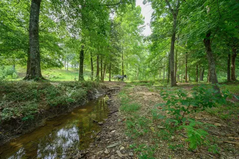 938 Ballpark Rd, Mount Ida, AR 71957 photo 36