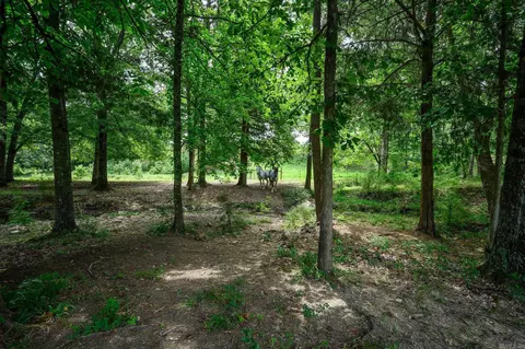 938 Ballpark Rd, Mount Ida, AR 71957 photo 33