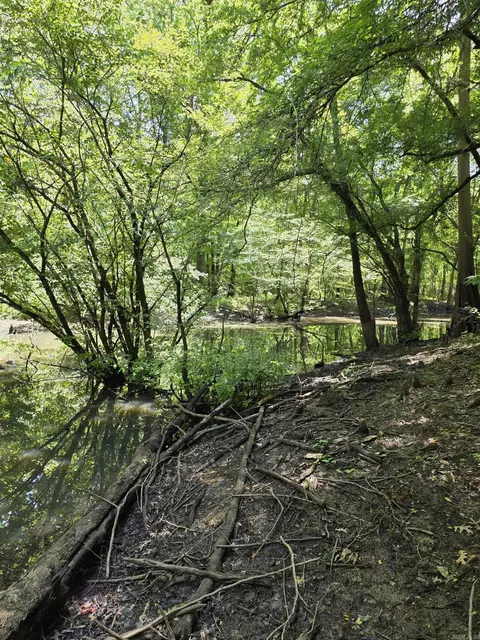00 Riverview Rd, De Valls Bluff, AR 72041 photo 13