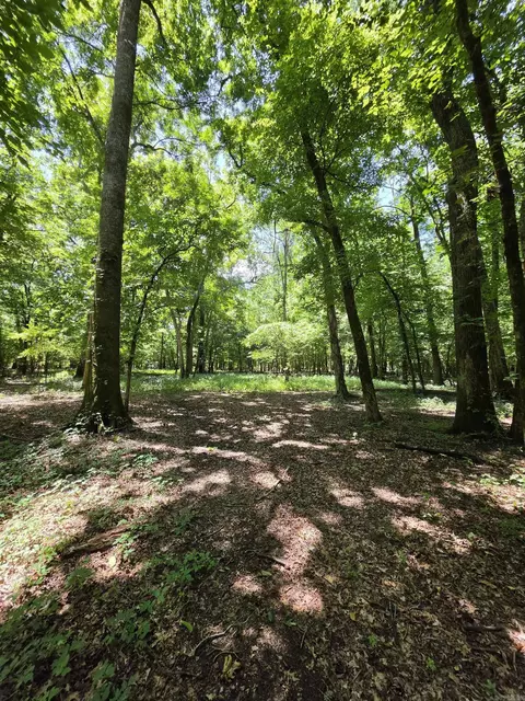 00 Riverview Rd, De Valls Bluff, AR 72041 photo 6