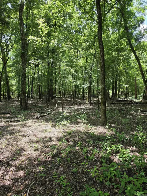 00 Riverview Rd, De Valls Bluff, AR 72041 photo 5