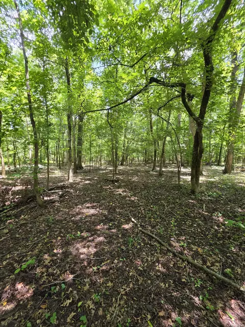 00 Riverview Rd, De Valls Bluff, AR 72041 photo 10