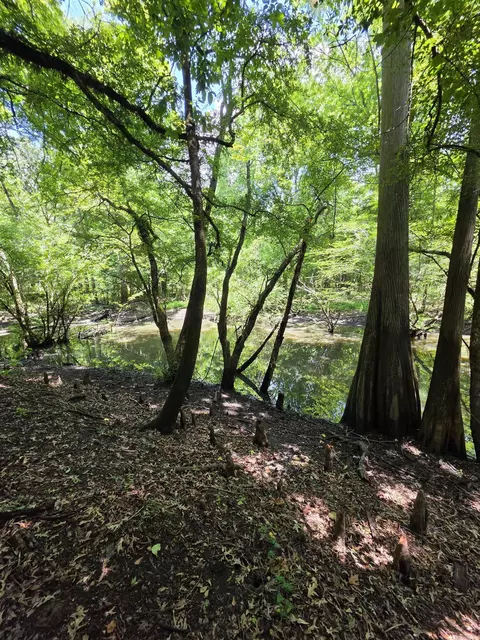 00 Riverview Rd, De Valls Bluff, AR 72041 photo 12