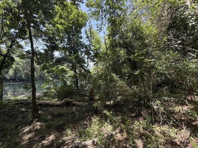 lot43 Up Riv, Heber Springs, AR 72543