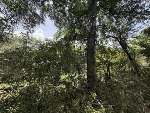 lot62 Down Riv, Heber Springs, AR 72543