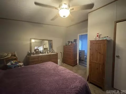 122 W 2nd St, Reyno, AR 72462 photo 13