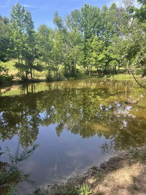 Nn Mt View, Glenwood, AR 71943