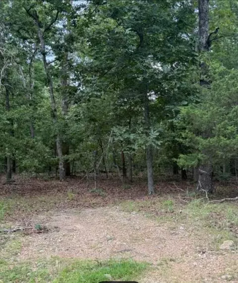 lot S 9 10 Tuscon Ln, Viola, AR 72583 photo 3