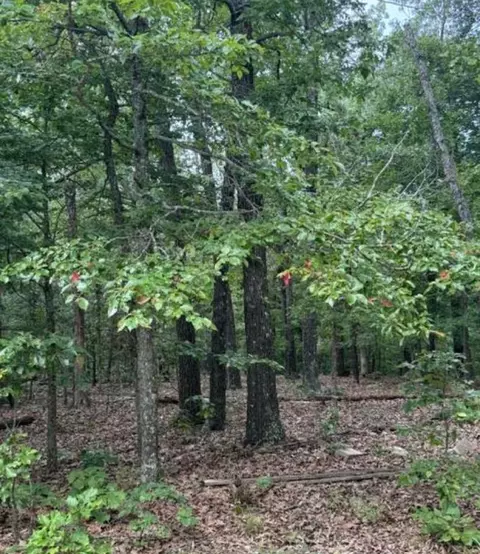 lot S 9 10 Tuscon Ln, Viola, AR 72583 photo 4