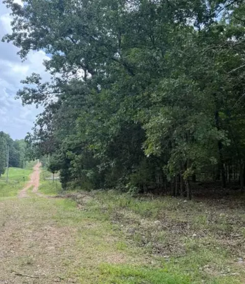 lot S 9 10 Tuscon Ln, Viola, AR 72583 photo 5