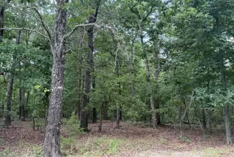 lot S 9 10 Tuscon Ln, Viola, AR 72583 photo 2