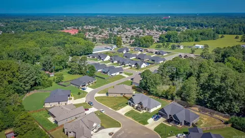 View/Area - 27 Denali Dr, Cabot, AR 72023 photo 3 of 4