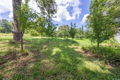 Exterior - 155 N 12th St, Mammoth Spring, AR 72554 photo 7 of 10