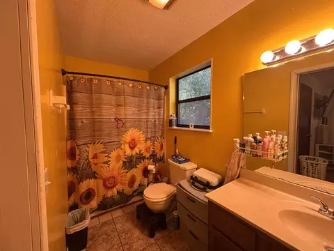 Bath - 404 Cook Rd, Mountain View, AR 72560 photo 3 of 3