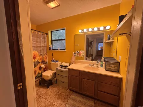 Bath - 404 Cook Rd, Mountain View, AR 72560 photo 2 of 3