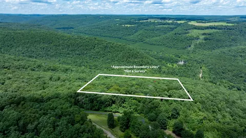 0 Sumac Ln, Clinton, AR 72031 photo 2