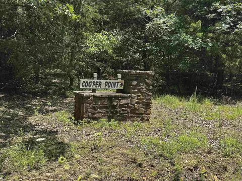 390 Cooper Point Rd, Mountain View, AR 72560 photo 44