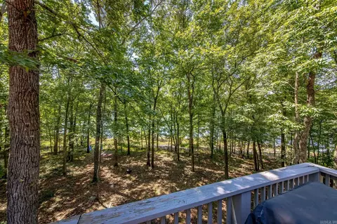 Other - 348 Weldon Rd, Edgemont, AR 72044 photo 3 of 12