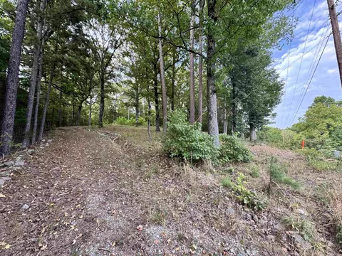 5306 Highway 270 E, Mount Ida, AR 71957 photo 3
