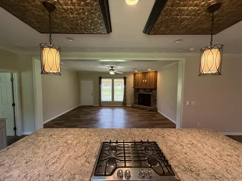 Other - 242 Arthur Kirk Rd, Beebe, AR 72012 photo 6 of 15