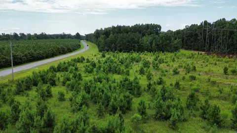 000 Ar-54, Pine Bluff, AR 71603 photo 23