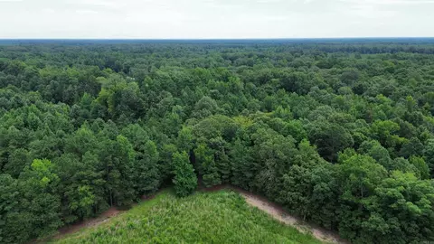 000 Ar-54, Pine Bluff, AR 71603 photo 12