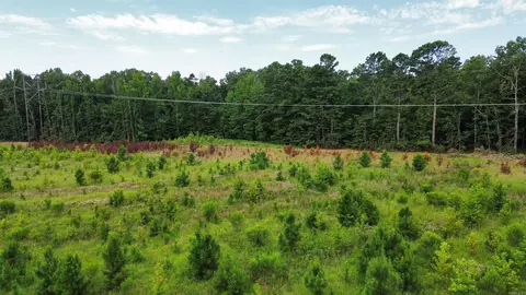 000 Ar-54, Pine Bluff, AR 71603 photo 24