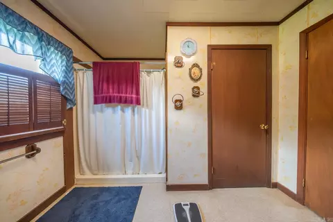 Bath - 189 E Wirth Rd, Mammoth Spring, AR 72554 photo 3 of 3