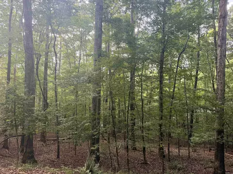 61 Ola Way, Hot Springs Village, AR 71909