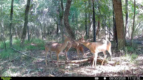 000 Arthur Kirk Rd, Beebe, AR 72012 photo 7