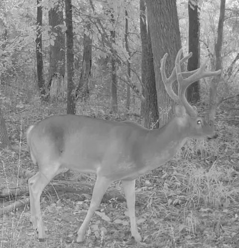 000 Arthur Kirk Rd, Beebe, AR 72012 photo 12