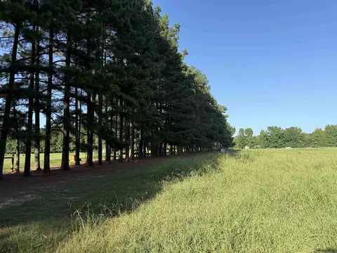 000 Arthur Kirk Rd, Beebe, AR 72012 photo 33