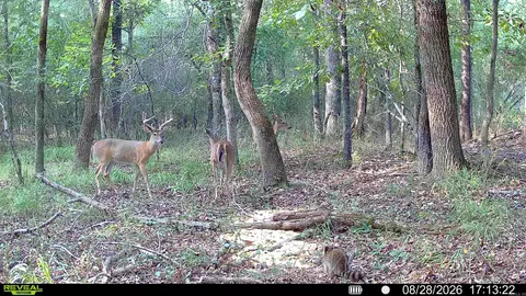 000 Arthur Kirk Rd, Beebe, AR 72012 photo 9