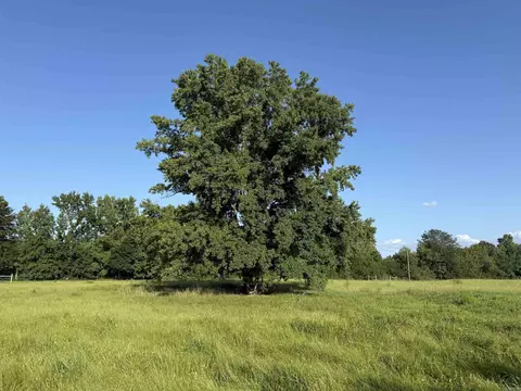 000 Arthur Kirk Rd, Beebe, AR 72012 photo 40