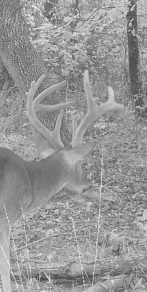 000 Arthur Kirk Rd, Beebe, AR 72012 photo 13
