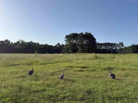 000 Arthur Kirk Rd, Beebe, AR 72012 photo 42