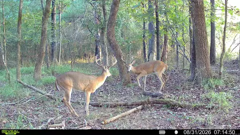 000 Arthur Kirk Rd, Beebe, AR 72012 photo 6