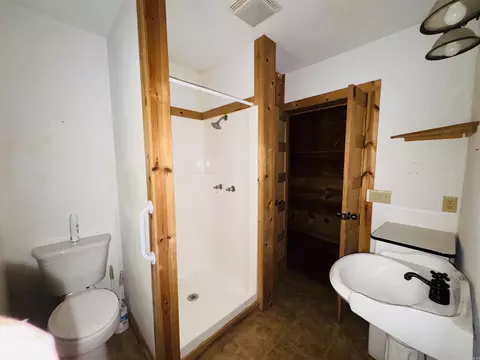 Bath - 406 Cedar Ave, Mountain View, AR 72560 photo 4 of 4